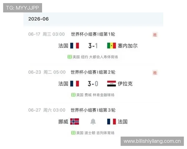 世界杯挪威法国比赛关键数据汇总，揭示比赛走势与战术布局